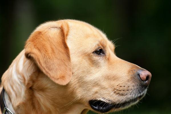 狂月天时 12星座一周运势4.10-4.16