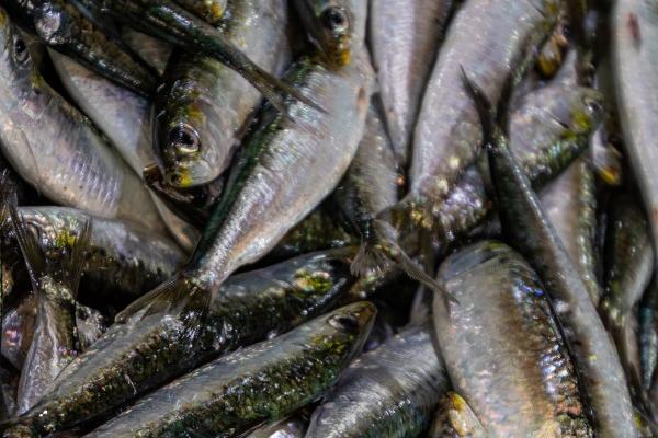 2023年5月13日开业吉不吉利 是不是开业良机