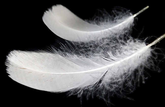 2023年5月22日领结婚证好不好 领证是吉日吗