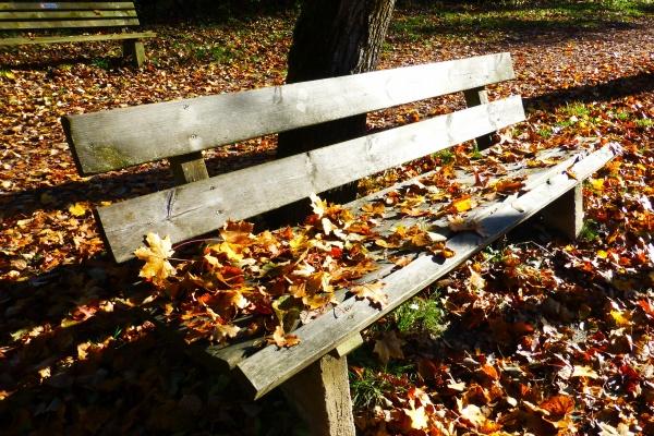 金牛座的隐藏星座是什么  原来如此  　　