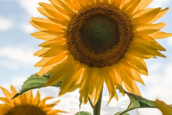 2023年5月2日出行吉时 出行吉利吗