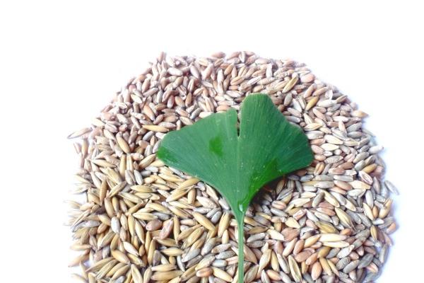 2023年5月7日宜动土吗 可以破土吗