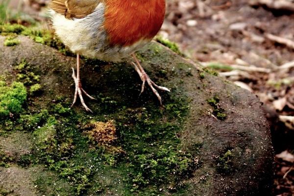 2023年5月19日出行吉时 是出去玩吉日吗