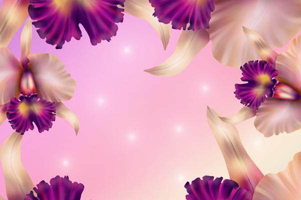 Alex 本周重要星象（4.10—4.16）