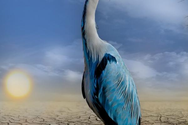 2023年各月份出生的宝宝运势 兔宝宝命运详解