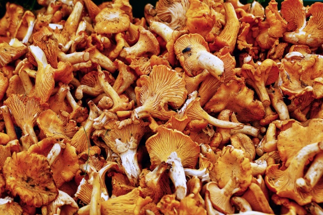 2023年大暑事业运发展趋势非常好的星座  意外收获  　　