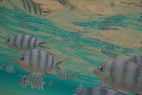 2023年巨蟹男感情劫是谁 化解感情劫的技巧