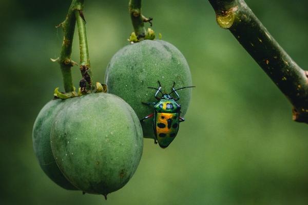 唐立淇 12星座最固执的点!让人抓狂