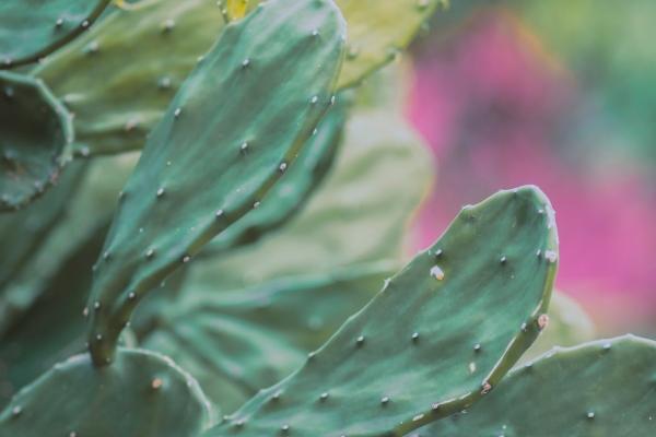 艾菲尔 12星座一周运势详解4.17-4.23