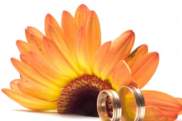 2023年5月20日出门好不好 出行吉利吗