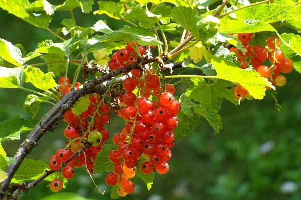 未来3个月缘分和桃花非常饱满,幸福感满满的4大星座