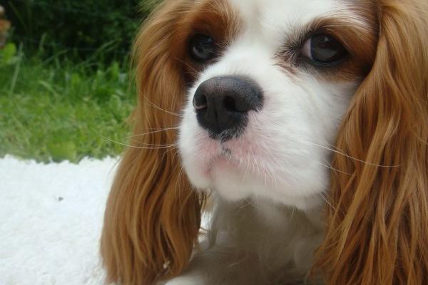 闹闹女巫 12星座今日运势:天蝎做好资金调配 双鱼积极改变自己