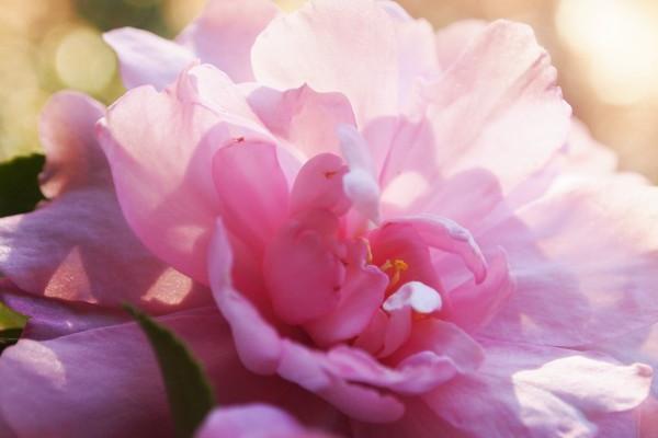 判答 本周12星座运势详解4.17-4.23