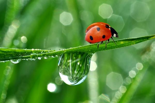 2023年5月1日劳动节是不是搬家好日子