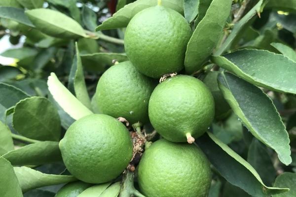 唐立淇 【4.14日运】金牛:适合休息娱乐,魔羯:需要展现自我