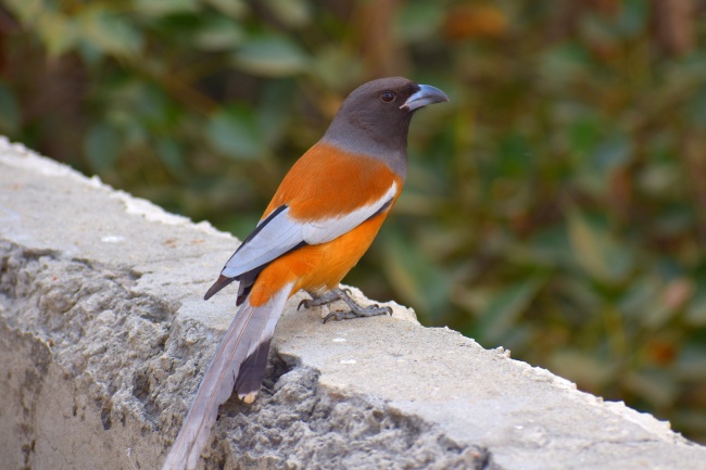 2023年5月5日适合装修吗 是不是搬家最佳日期