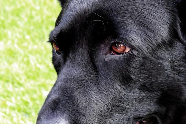 2023年5月7日开业吉不吉利 是开业黄道吉日吗