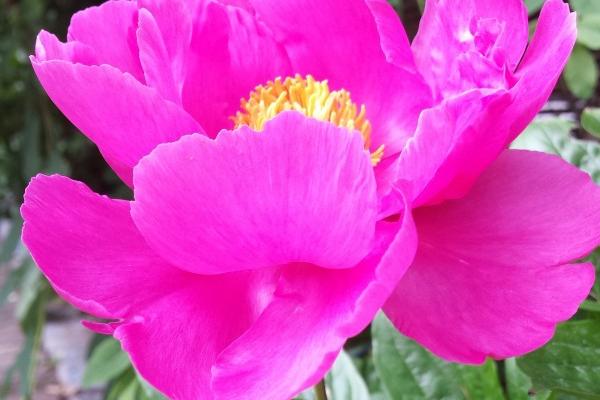 2023年5月14日出行好不好 出门怎么样