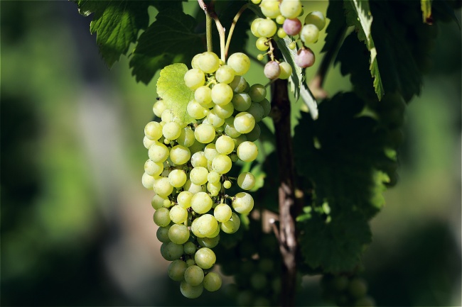 射手男会娶水瓶女吗 射手男一生最爱水瓶女