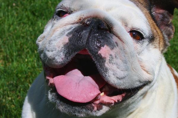 2023年5月20日可以装修吗 今日装修吉时查询