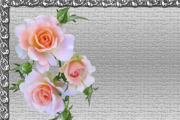 2023年属兔农历三月出生命运 宝宝运势好不好