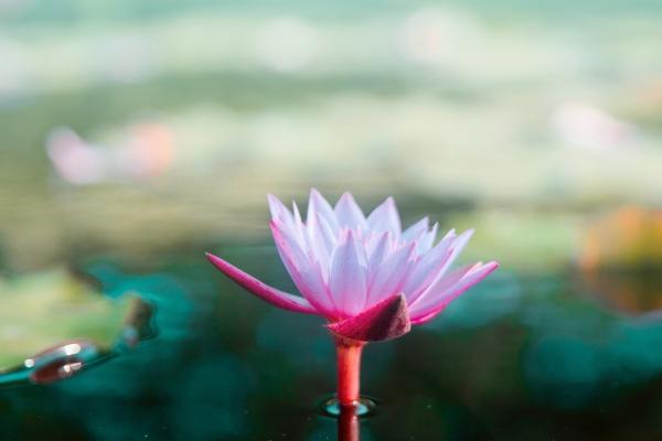 2023年5月31日可以领证吗 领证是吉日吗