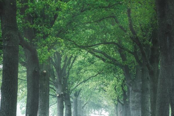 2023年5月18日装修开工好吗 可以装修开工吗