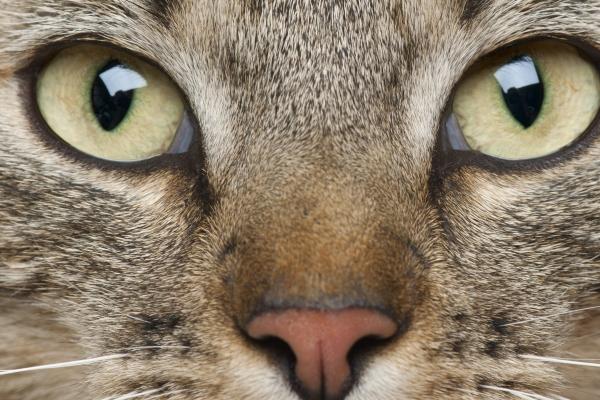 2023年端午节事业运发展趋势非常好的3大星座