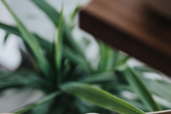 十二星座2023年8月份偏财运排名最新 适当投资