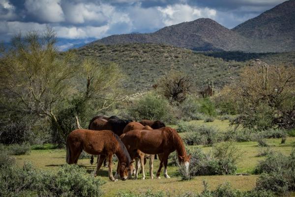 2023年5月12日可以安门吗 是安门吉日吗
