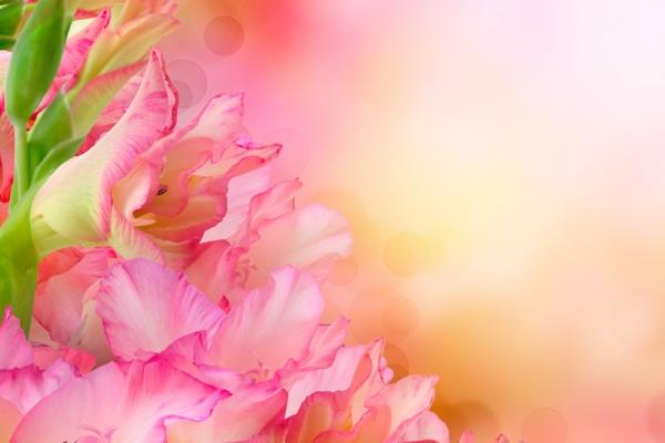 2023年5月5日结婚好吗 是结婚吉日吗