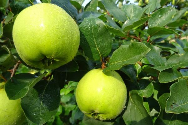 2023年5月29日开业好不好 营业好不好