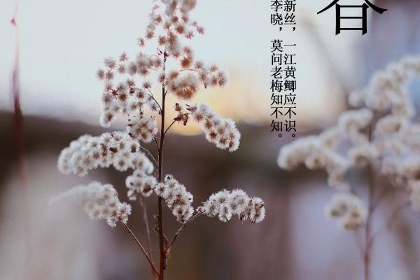 最新盘点6月桃花运旺盛的3大星座!优质追求者变多,轻松脱单！