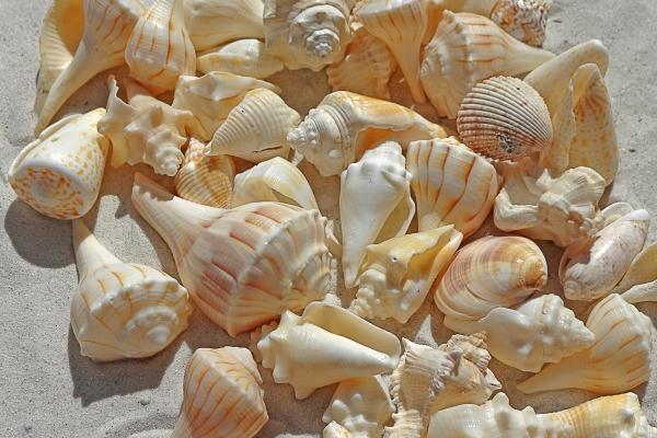 2023年狮子座水逆期是什么时候，水逆期要注意什么