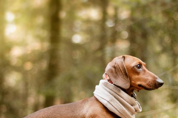 2023年5月10日可以提车吗 是不是黄道吉日