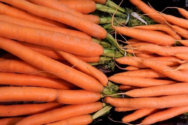 唐绮阳金牛座2023年5月运势详解