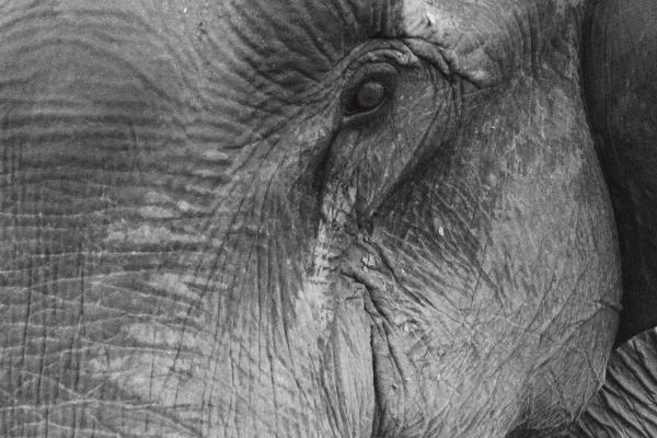 狂月天时 0424每日星座运势