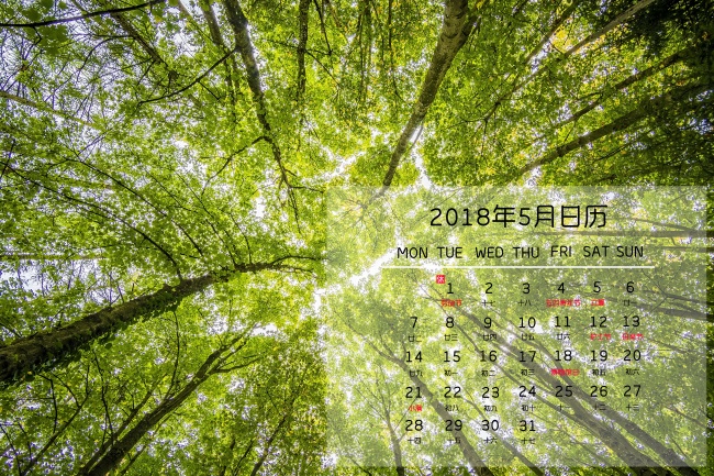 唐立淇 每日12星座运势4.27