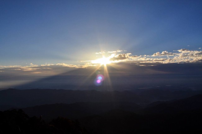 下个月4大星座百花齐放!桃花势不可挡,求财得财