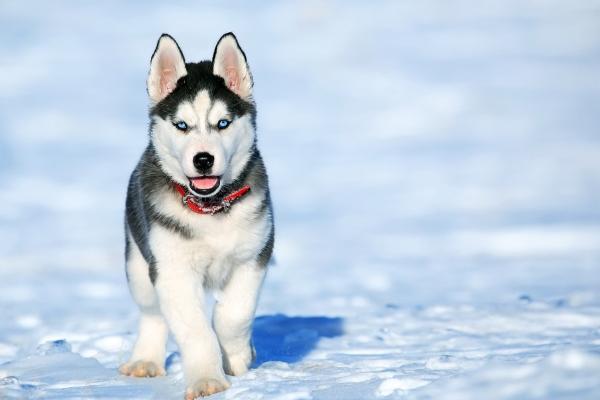 2023年5月13日五行穿衣搭配 穿衣最佳幸运色