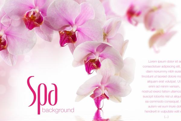 2023年5月31日结婚黄道吉日 宜嫁娶吉日查询