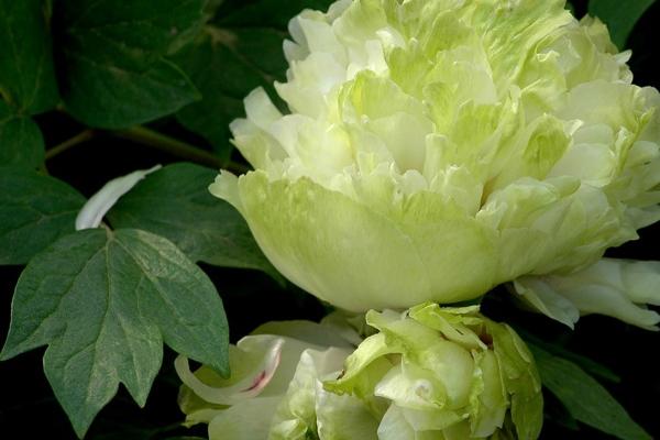 唐绮阳天蝎座2023年5月运势详解