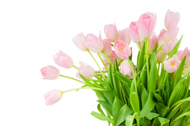 2023年5月16日适合签约吗 签约吉时查询