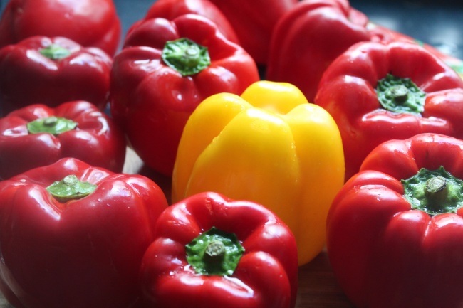 2023年5月20日搬家好吗 这天是搬家黄道吉日吗