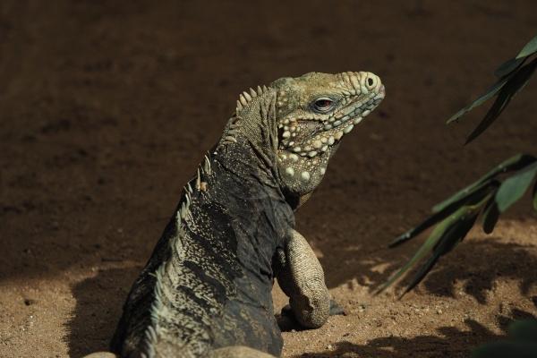 唐绮阳双子座2023年5月运势详解