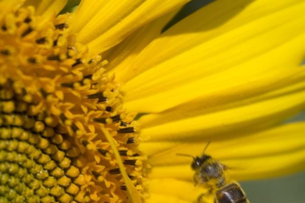 2023年5月28日结婚好不好 今日嫁娶日子好不好