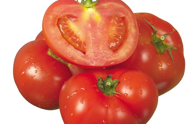 2023年5月25日动土好不好 适合建房子吗