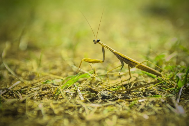 2023年5月出生的宝宝是什么命 一生运势怎么样