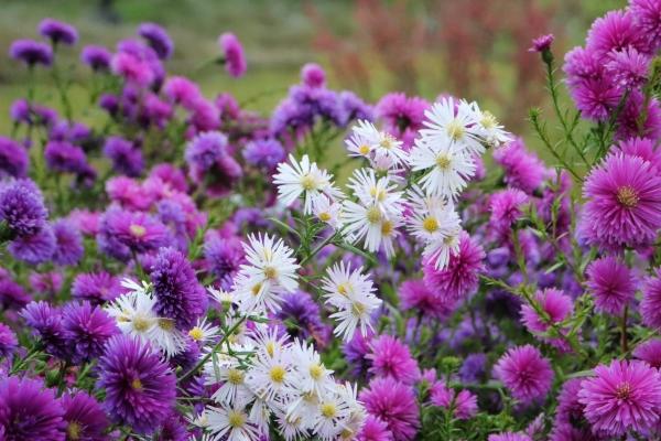 2023年5月30日签约好吗 签订合同好不好