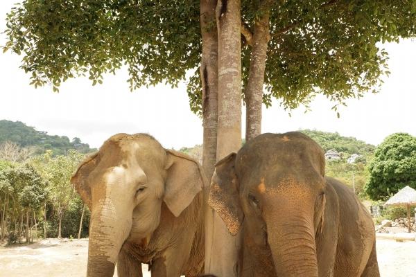 狂月天时 0423每日星座运势